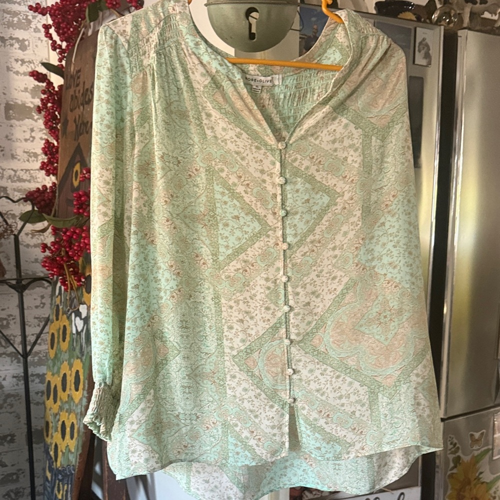 Rose and Olive Light Green Paisley Blouse